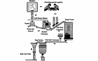 Production of chips IELTS writing Task 1